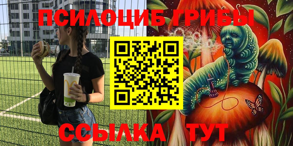 Псилоцибиновые грибы прущие грибы Анжеро-Судженск