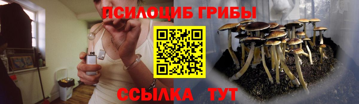 Галлюциногенные грибы MAGIC MUSHROOMS  Вход с VPN  Анжеро-Судженск 
